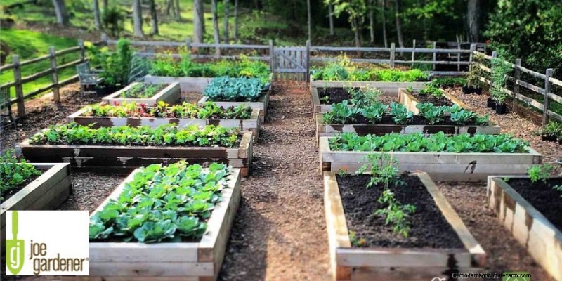 Organic Fertilizer: Benefits for Lawn & Garden - A Gardening Expert s Guide