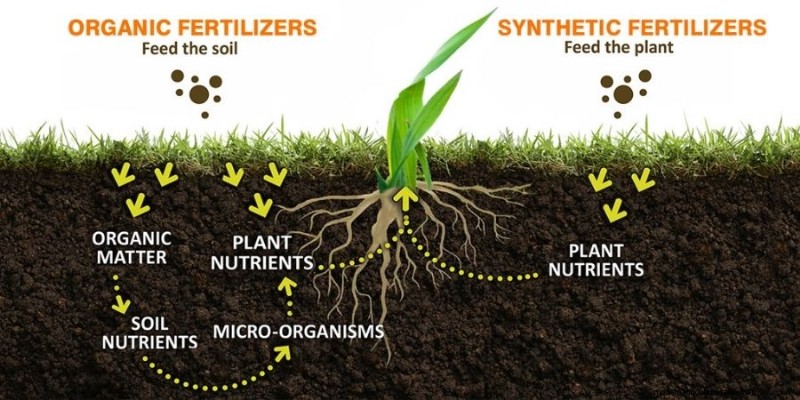 Organic Fertilizer: Benefits for Lawn & Garden - A Gardening Expert s Guide