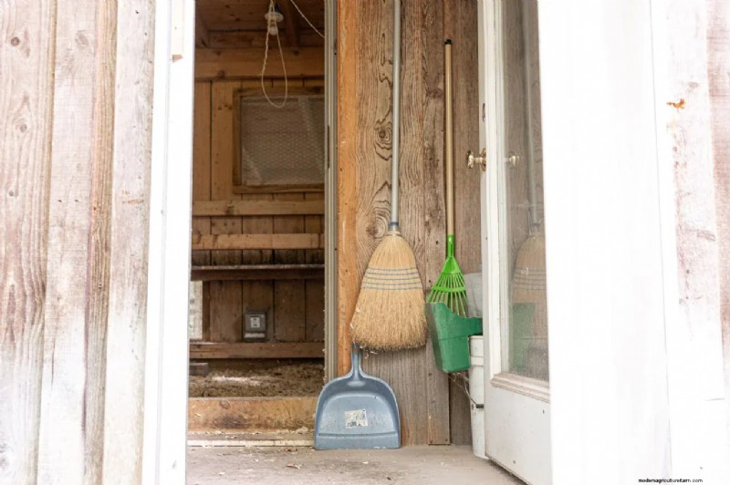 Essential Chicken Coop Supplies: A Comprehensive Guide for Flock Owners