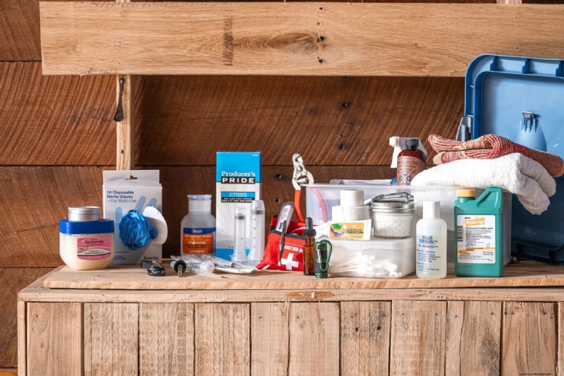 Essential Chicken Coop Supplies: A Comprehensive Guide for Flock Owners