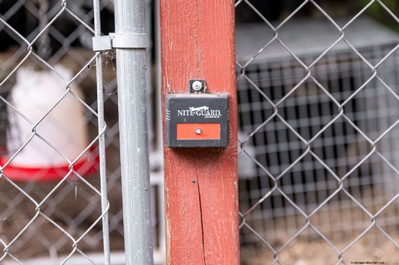 Essential Chicken Coop Supplies: A Comprehensive Guide for Flock Owners
