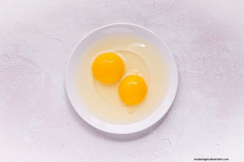 Decoding Your Chicken Eggs: A Guide to Hen Health