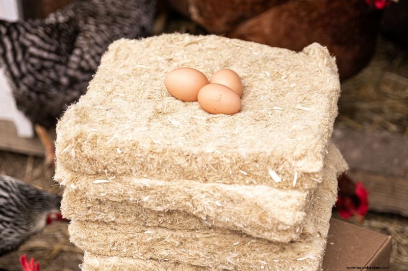 Hemp Nesting Pads for Chickens: Cleaner Coops & Easier Egg Collection