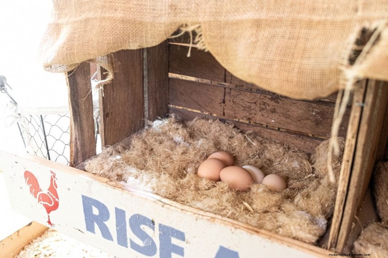 Hemp Nesting Pads for Chickens: Cleaner Coops & Easier Egg Collection