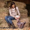 Hemp Nesting Pads for Chickens: Cleaner Coops & Easier Egg Collection