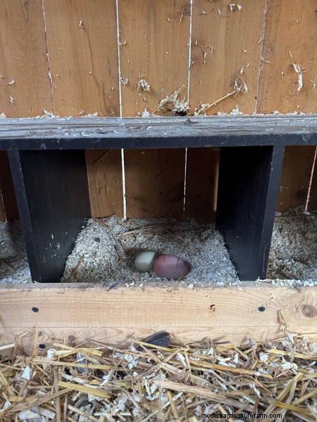 DIY Chicken Nesting Boxes: Build a Comfortable & Safe Space for Laying