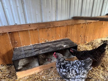 DIY Chicken Nesting Boxes: Build a Comfortable & Safe Space for Laying