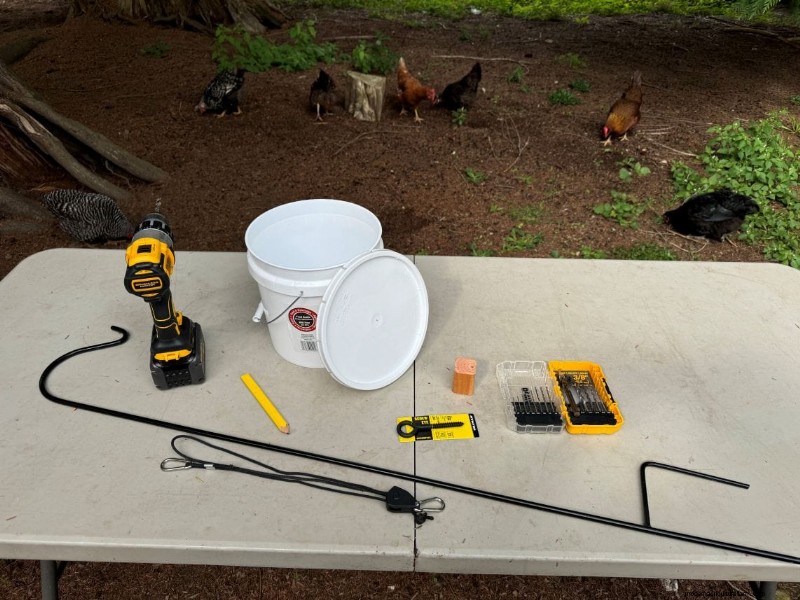 Rat-Proof Chicken Feeder: A DIY Guide for Secure Feeding