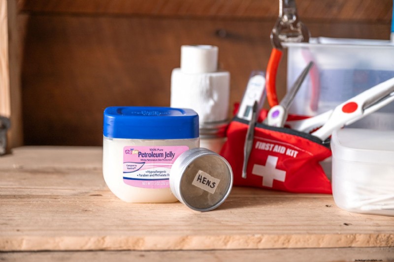Comprehensive Chicken First Aid Kit: Essential Supplies for Flock Health