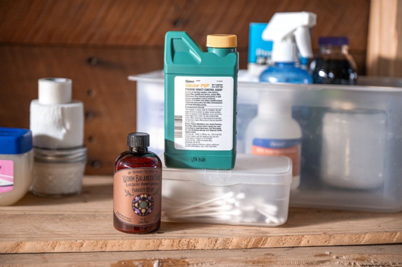 Comprehensive Chicken First Aid Kit: Essential Supplies for Flock Health
