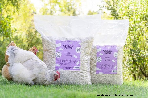 Hemp Bedding for Chickens: Healthier Coops & Happier Birds