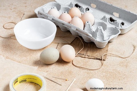 DIY Blown Eggs: A Simple Craft Tutorial for Chicken Owners