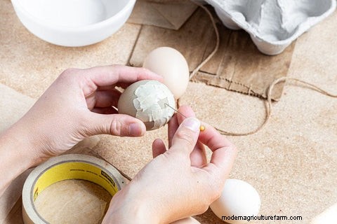 DIY Blown Eggs: A Simple Craft Tutorial for Chicken Owners