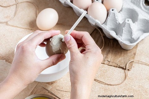 DIY Blown Eggs: A Simple Craft Tutorial for Chicken Owners