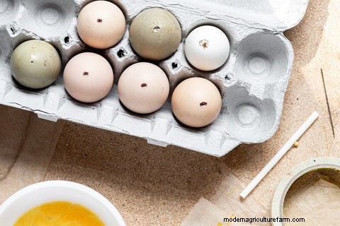 DIY Blown Eggs: A Simple Craft Tutorial for Chicken Owners