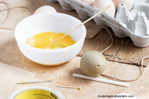 DIY Blown Eggs: A Simple Craft Tutorial for Chicken Owners