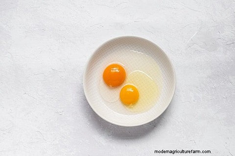 Chicken vs. Duck Eggs: Nutrition, Taste & Cooking Guide