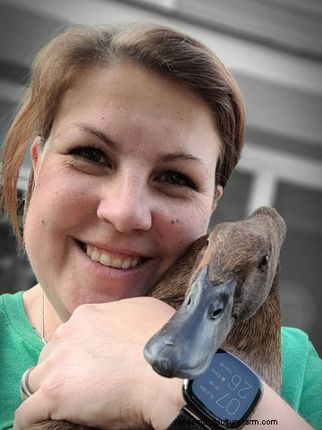 Duck Habitat & Housing: Creating a Safe & Comfortable Environment | Grubbly Farms