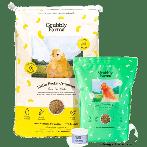 When Can Baby Chicks Go Outside? A Comprehensive Guide