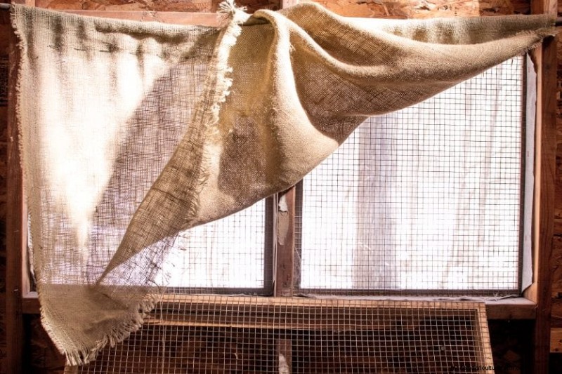 Eliminate Chicken Coop Odor: Proven Methods for a Fresh & Healthy Flock