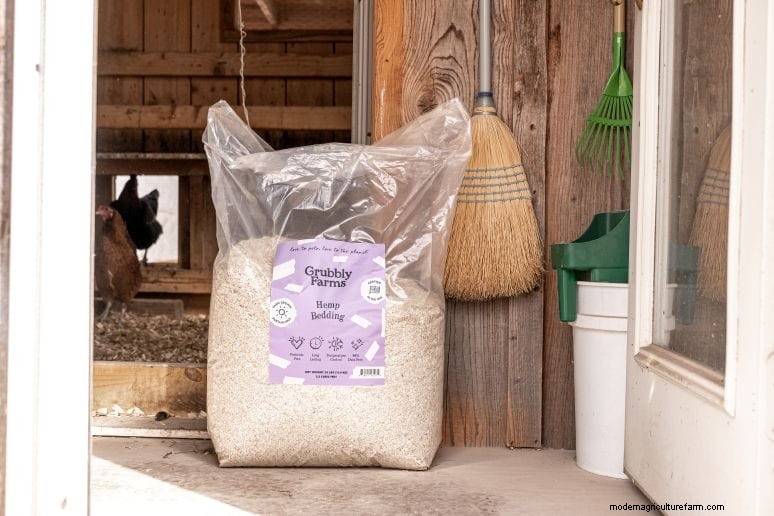 Eliminate Chicken Coop Odor: Proven Methods for a Fresh & Healthy Flock