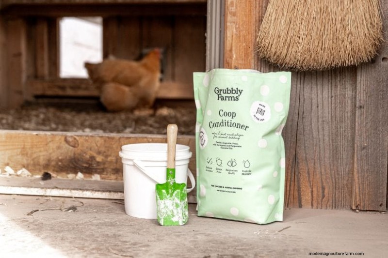 Eliminate Chicken Coop Odor: Proven Methods for a Fresh & Healthy Flock