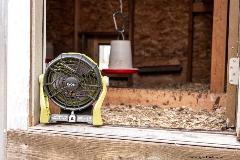 Eliminate Chicken Coop Odor: Proven Methods for a Fresh & Healthy Flock