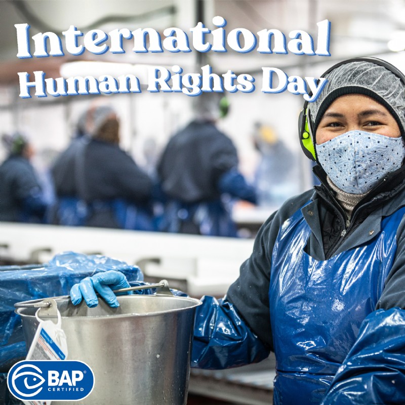 Human Rights in Seafood: Protecting Workers & Communities