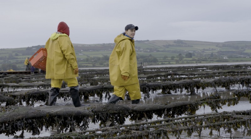 Human Rights in Seafood: Protecting Workers & Communities