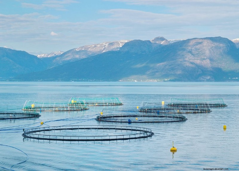 Starting an Aquaculture Farm: A Comprehensive Guide