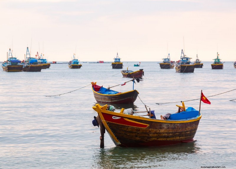 A Guide to Entering the Fishing Industry: Career Paths & Opportunities
