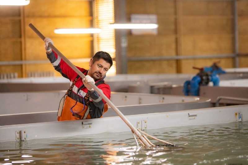 Seafood Hatcheries: Understanding the Vital Role in Sustainable Aquaculture