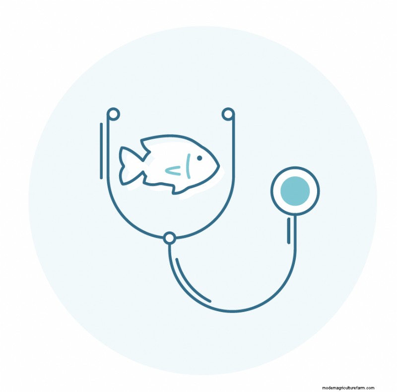 Seafood Hatcheries: Understanding the Vital Role in Sustainable Aquaculture