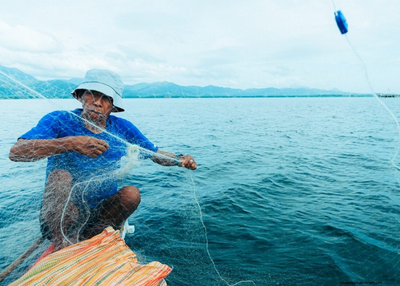 Inside Fishing Vessels: A Look at Seafood Production
