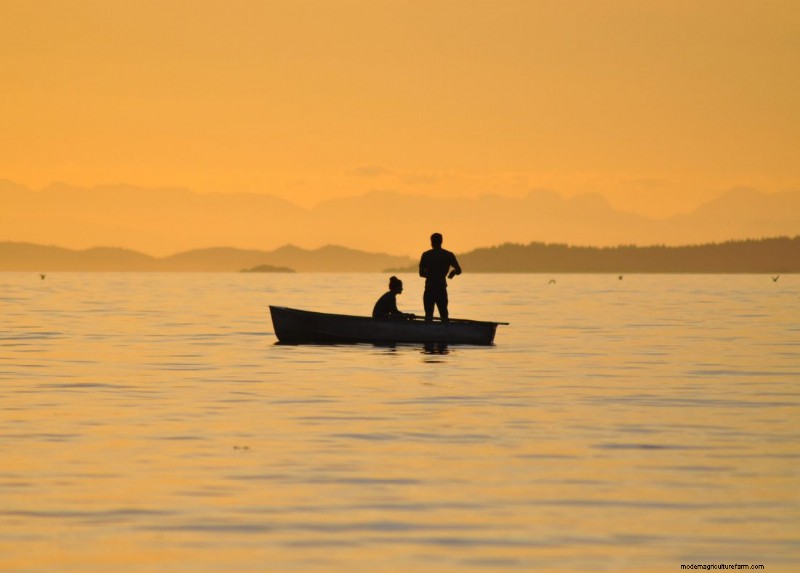 Inside Fishing Vessels: A Look at Seafood Production