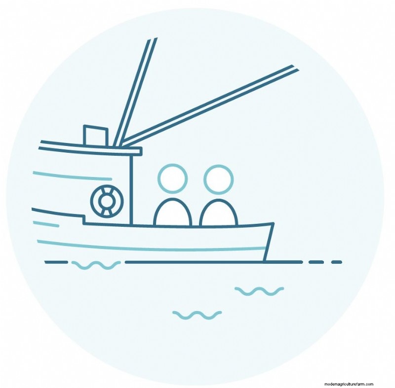 Inside Fishing Vessels: A Look at Seafood Production