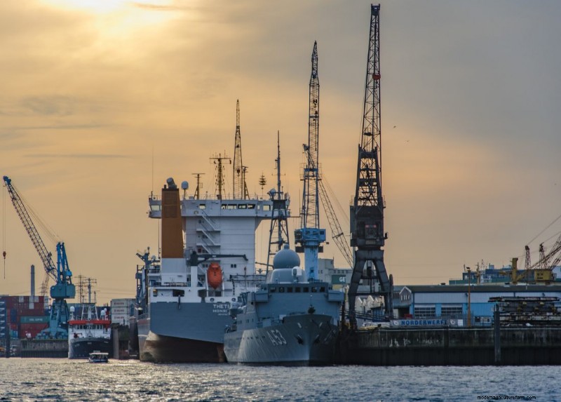 Inside Fishing Vessels: A Look at Seafood Production