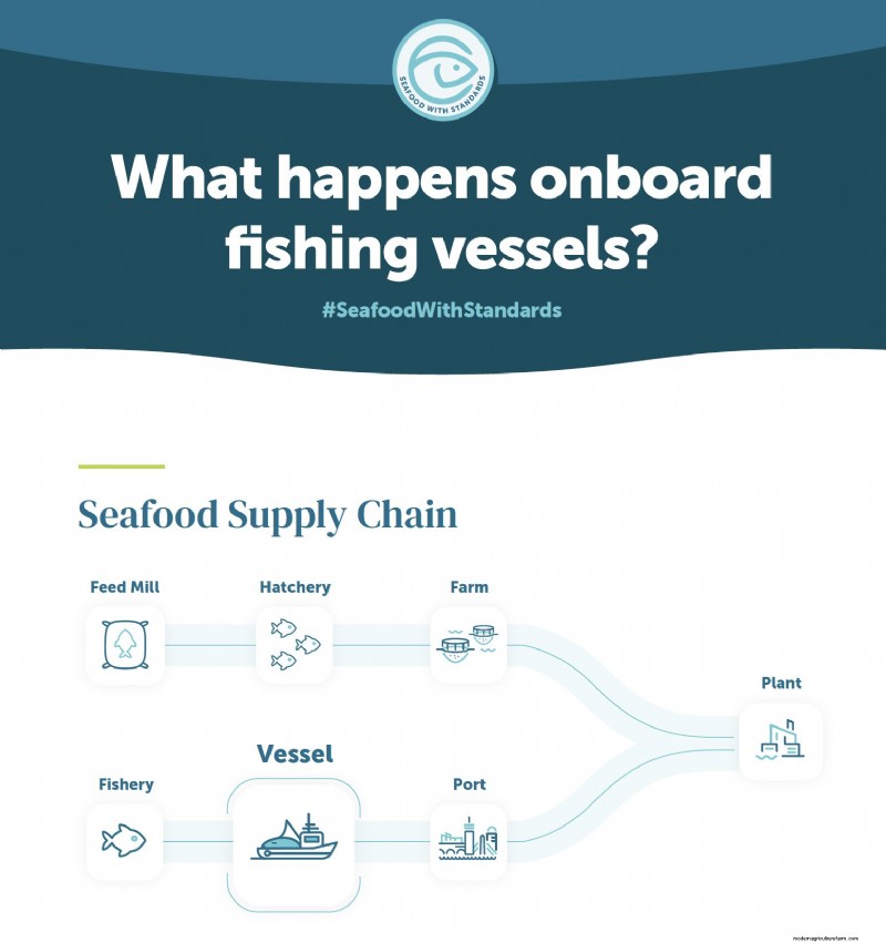 Inside Fishing Vessels: A Look at Seafood Production