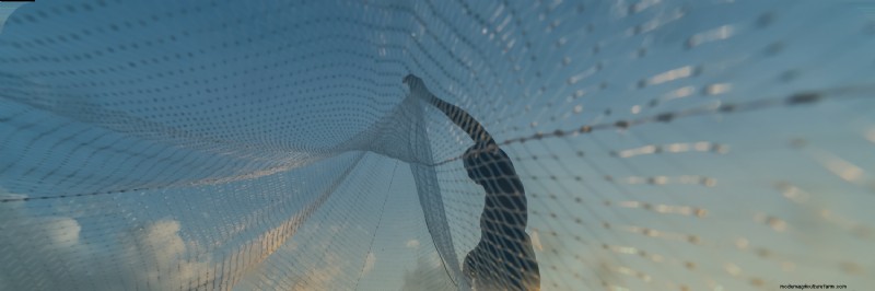 Sustainable Seafood: Understanding the Environmental Impact of Aquaculture