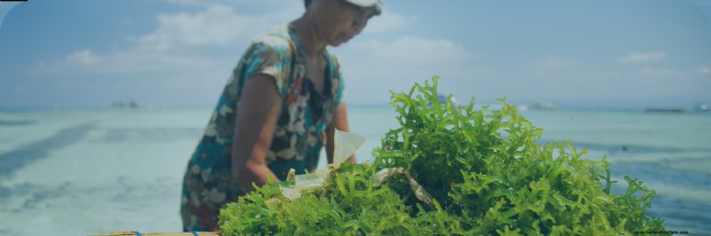 Sustainable Seafood: Understanding the Environmental Impact of Aquaculture