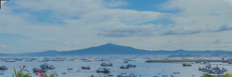 Sustainable Seafood: Understanding the Environmental Impact of Aquaculture