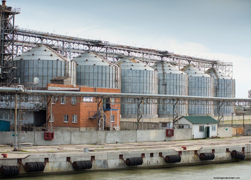 Seafood Feed Mills: A Vital Link in the Seafood Supply Chain