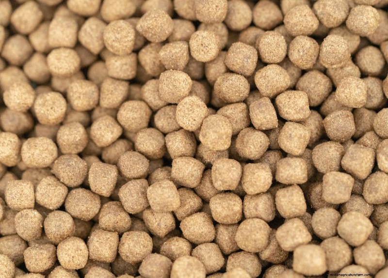 Seafood Feed Mills: A Vital Link in the Seafood Supply Chain