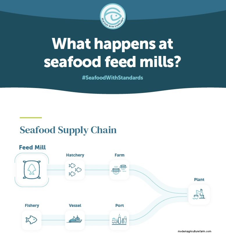 Seafood Feed Mills: A Vital Link in the Seafood Supply Chain