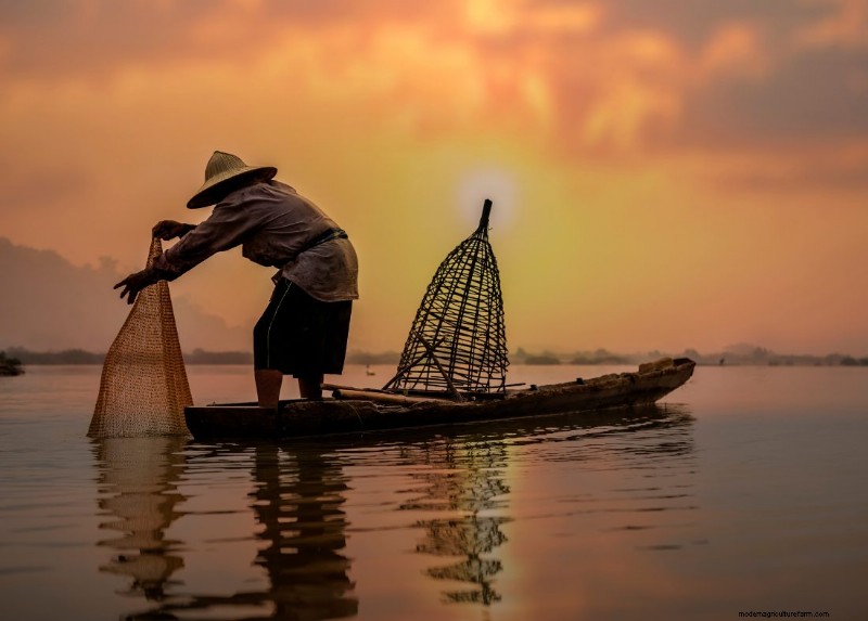 Understanding Fisheries: A Key Step in Seafood Production
