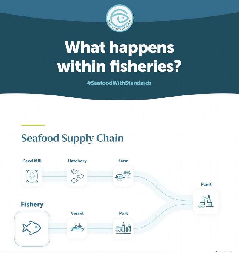Understanding Fisheries: A Key Step in Seafood Production