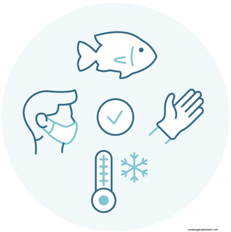 Understanding Seafood Farms: A Deep Dive into Aquaculture