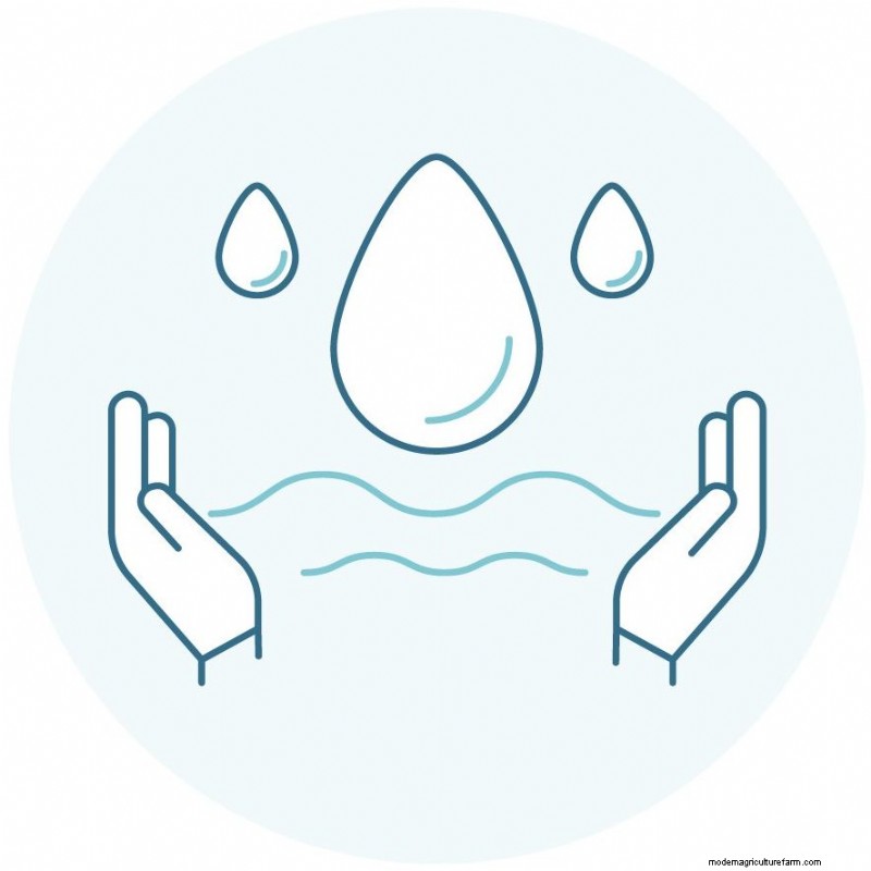 Understanding Seafood Farms: A Deep Dive into Aquaculture