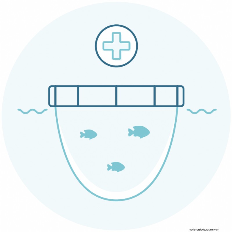 Understanding Seafood Farms: A Deep Dive into Aquaculture