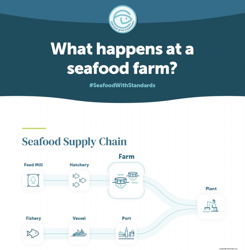 Understanding Seafood Farms: A Deep Dive into Aquaculture